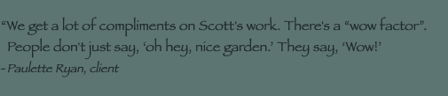 Just watching a garden fill in... is spectacular. - Jeff Katz, client